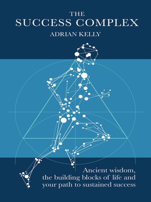 cover image of The Success Complex